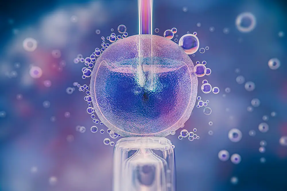 Comprehensive Guide to IVF Treatment